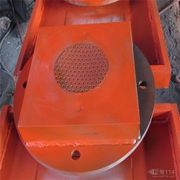 振球 活力四射的运动魅力